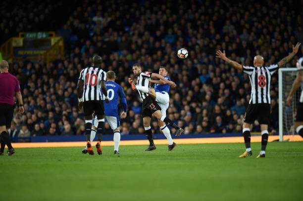 每次经过松 每次经过松