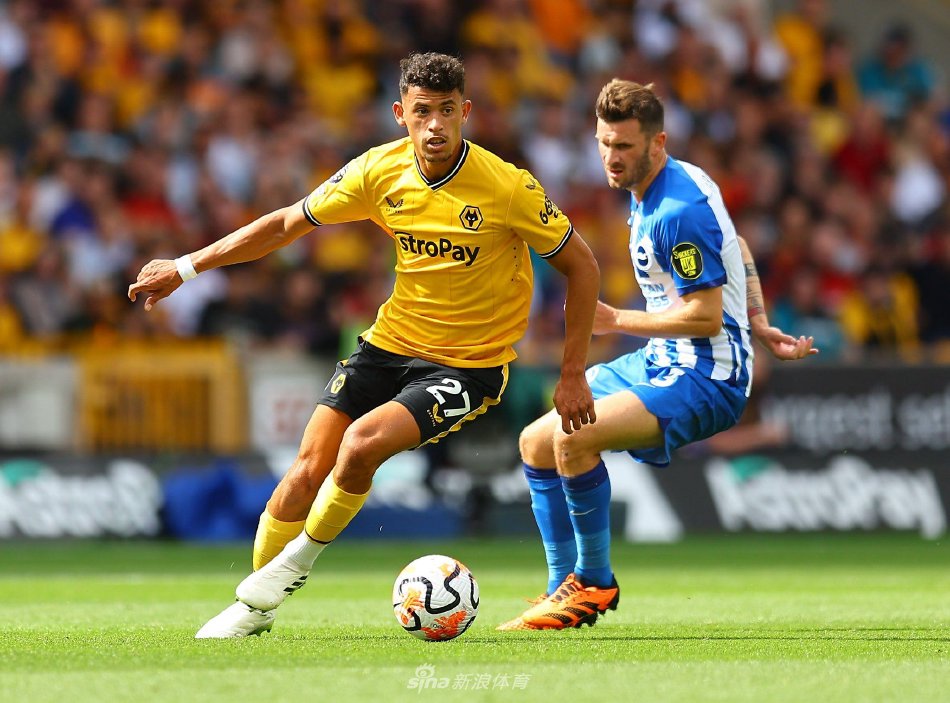 岁非洲神锋 岁非洲神锋